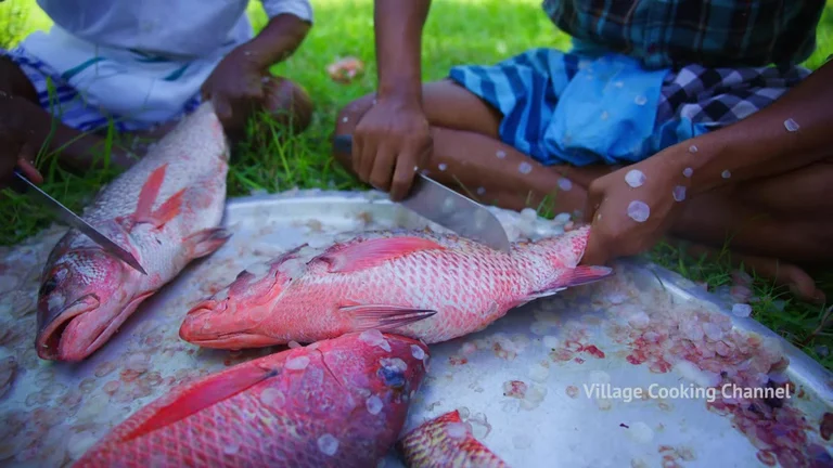 RED SNAPPER FISH ｜ Big Fish Grill Recipe Cooking in Village ｜ Fish Fry in Clay ｜ Ancient Cooking