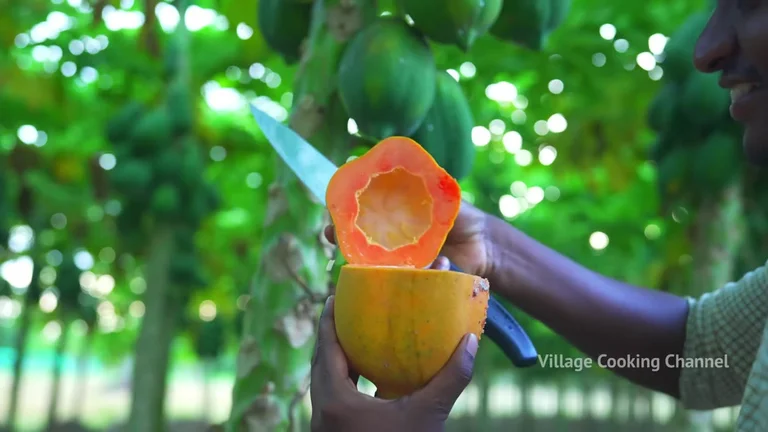 TUTTI FRUTTI ｜ Colourful Papaya Candy with Ice Cream ｜ Papaya Harvesting and Cooking in Village