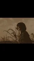 نصیب مو خراب دی نور څه نه دی 💔💔💔💔
