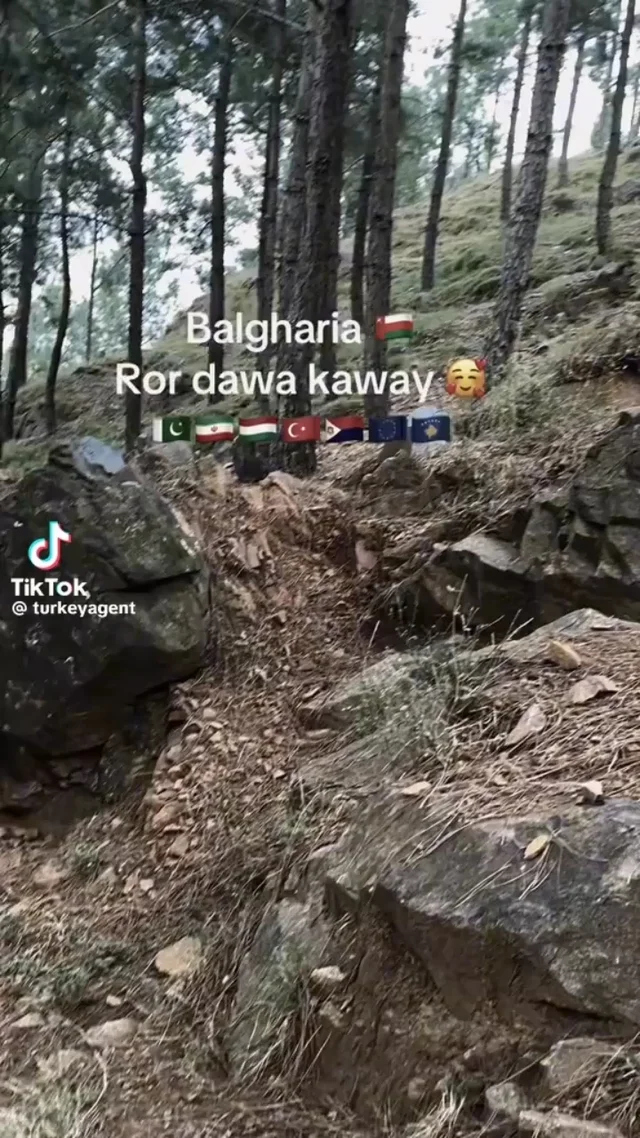 په ډیرو به ګران شو